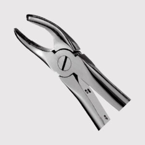 17 Right Upper Molars Forceps