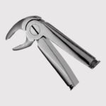 22 Lower Molars Forceps