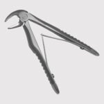 Lower Molars