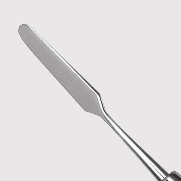 Spatula/Placement Instrument 2